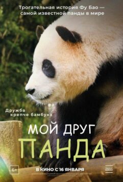 Смотреть Мой друг панда